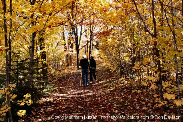 Oberg Mountain Lutsen Fall Colors