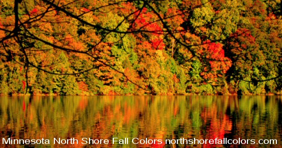 Fall Color Chart 2017